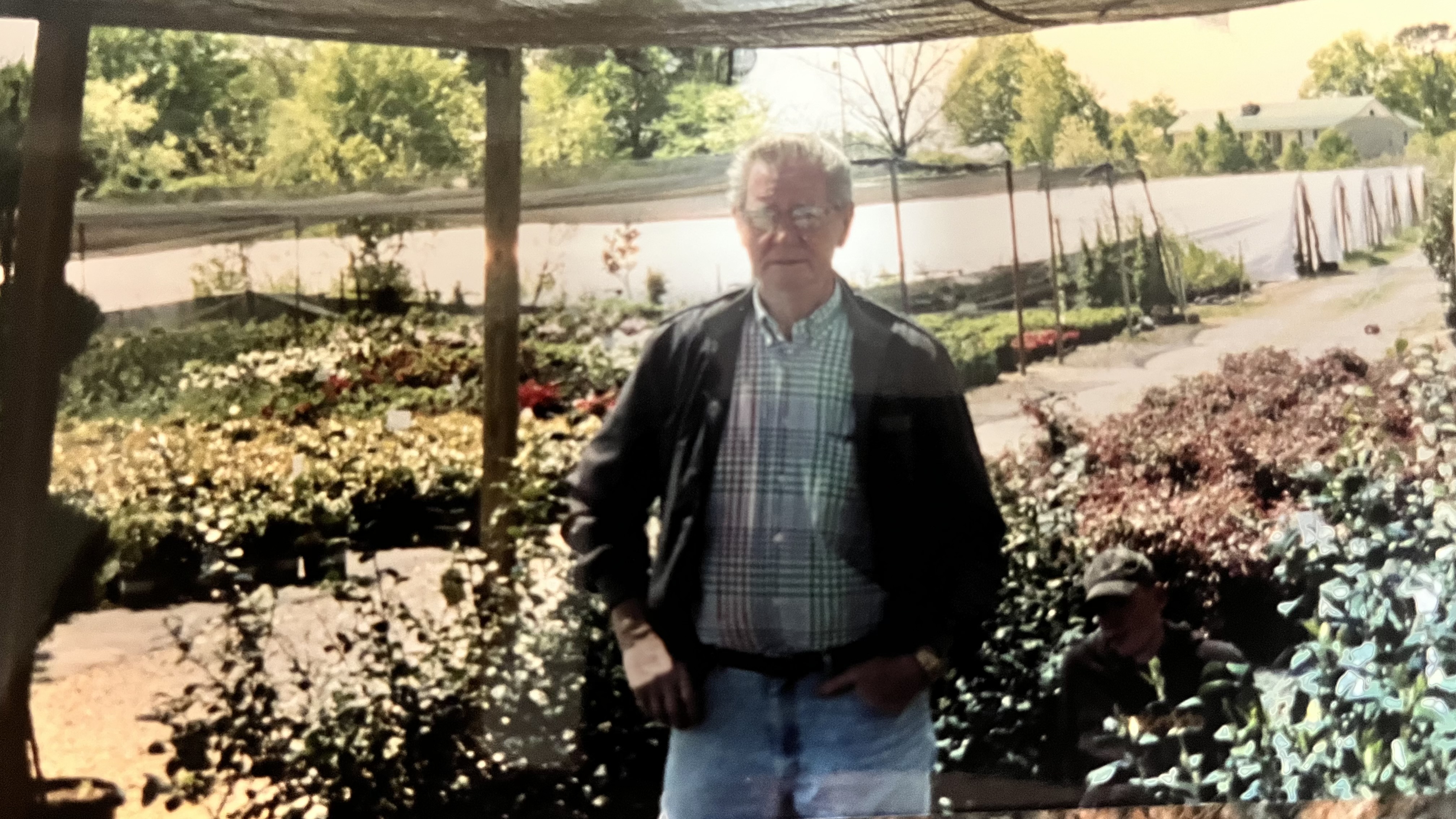 A Bannister family member among nursery plants